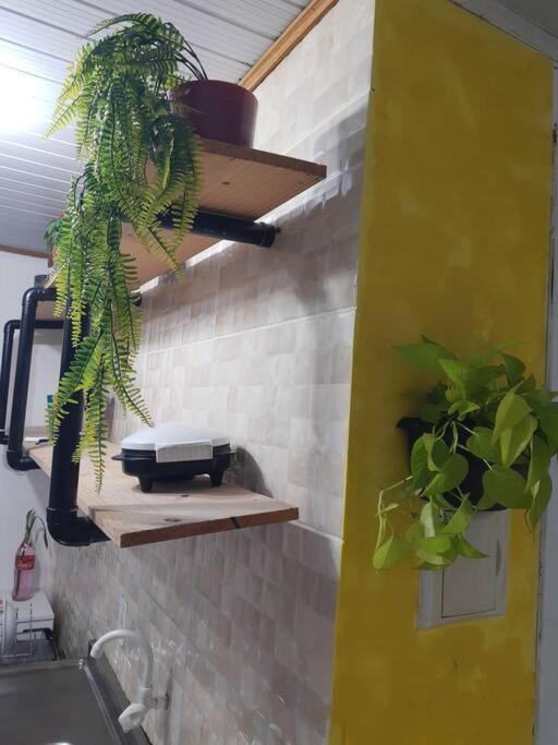 Townhousefloripa I Praia Do Mocambique Riovermelho Florianópolis Εξωτερικό φωτογραφία